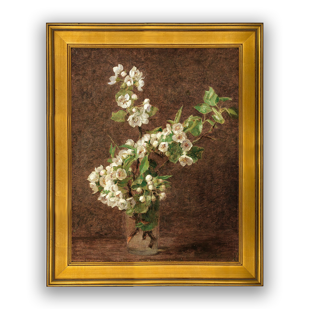 Apple Blossoms
