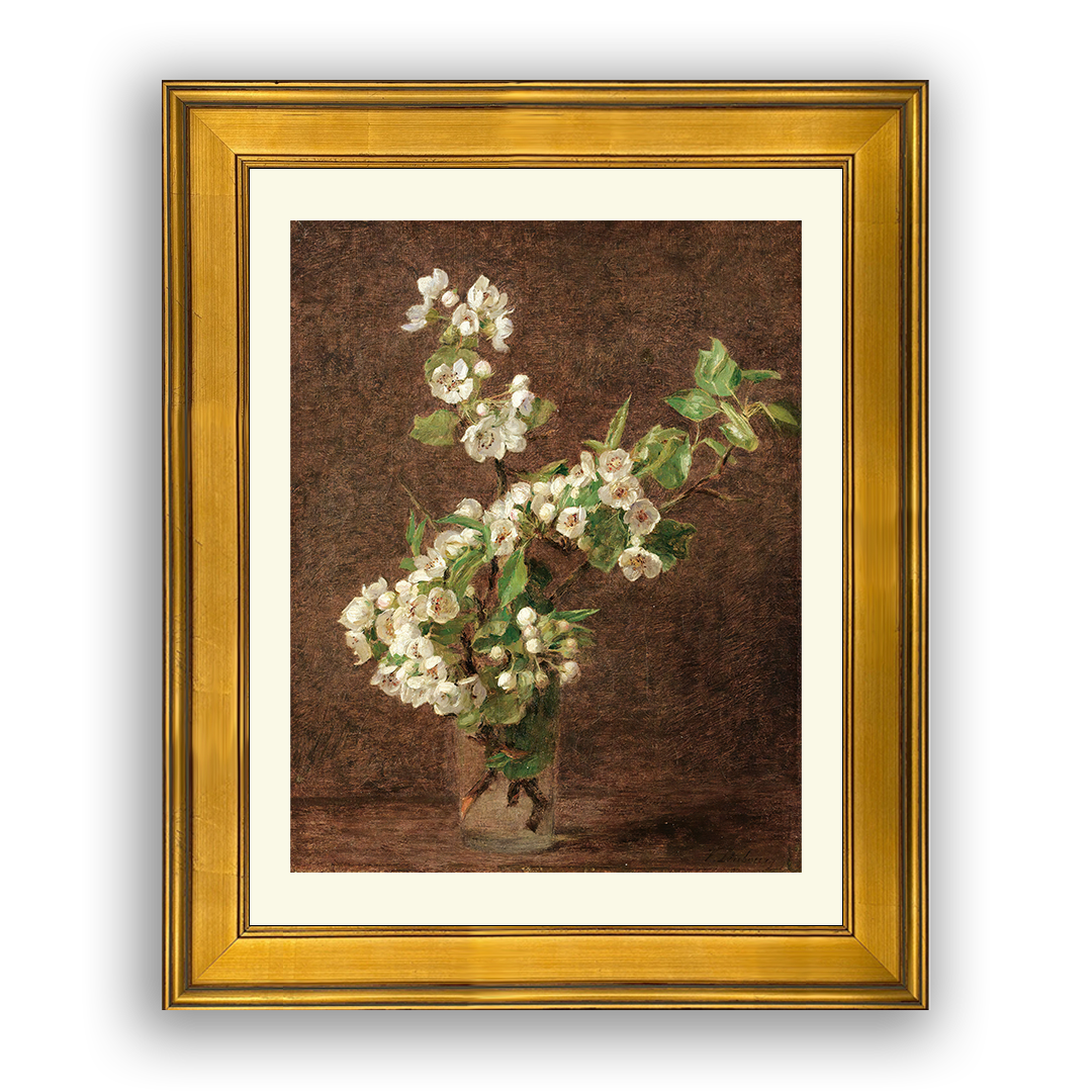 Apple Blossoms