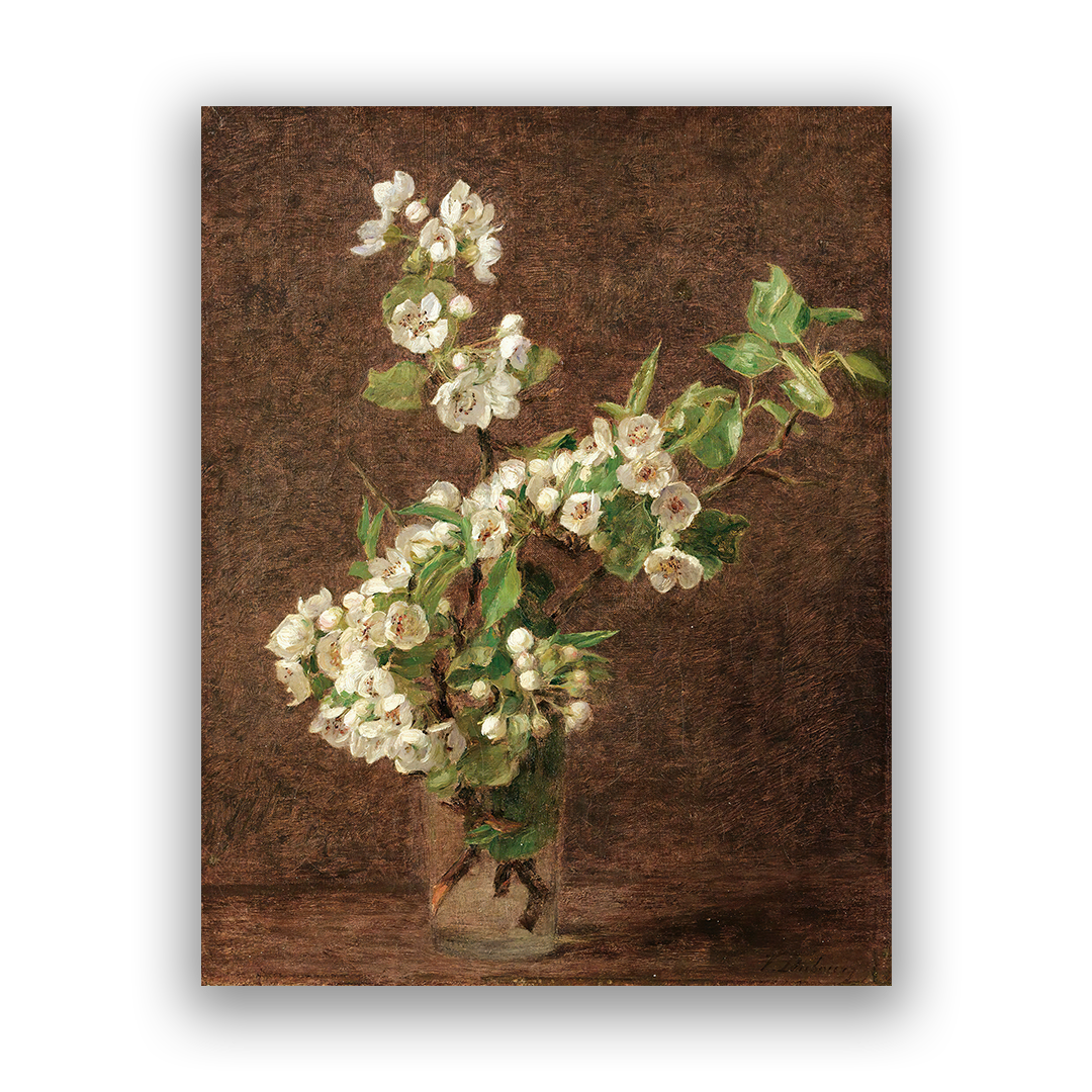 Apple Blossoms