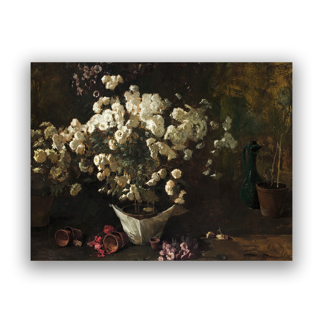 Chrysanthemums
