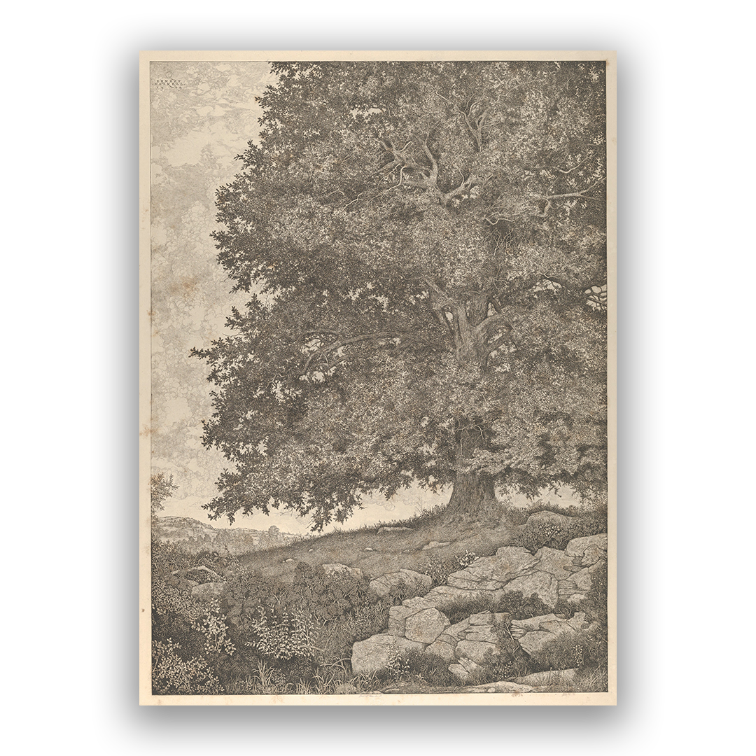 Permanence — silver frame fine art print — Art & Olive