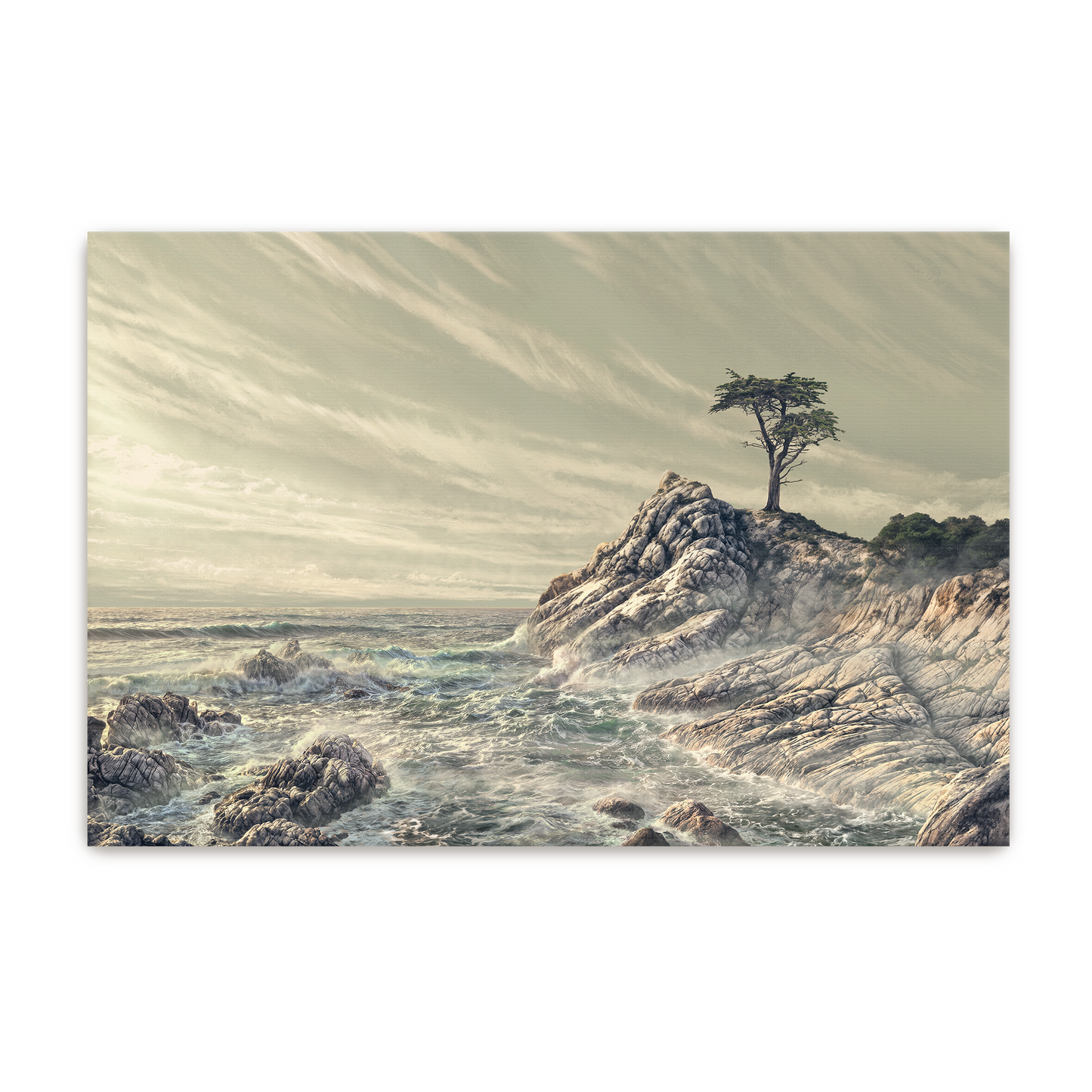 The Quiet Cypress | Fine Art Print