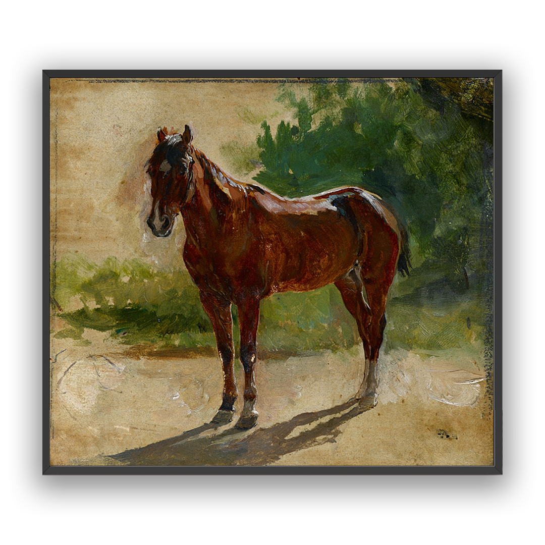 Bay Horse