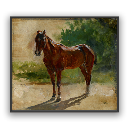 Bay Horse — white frame fine art print — Art & Olive