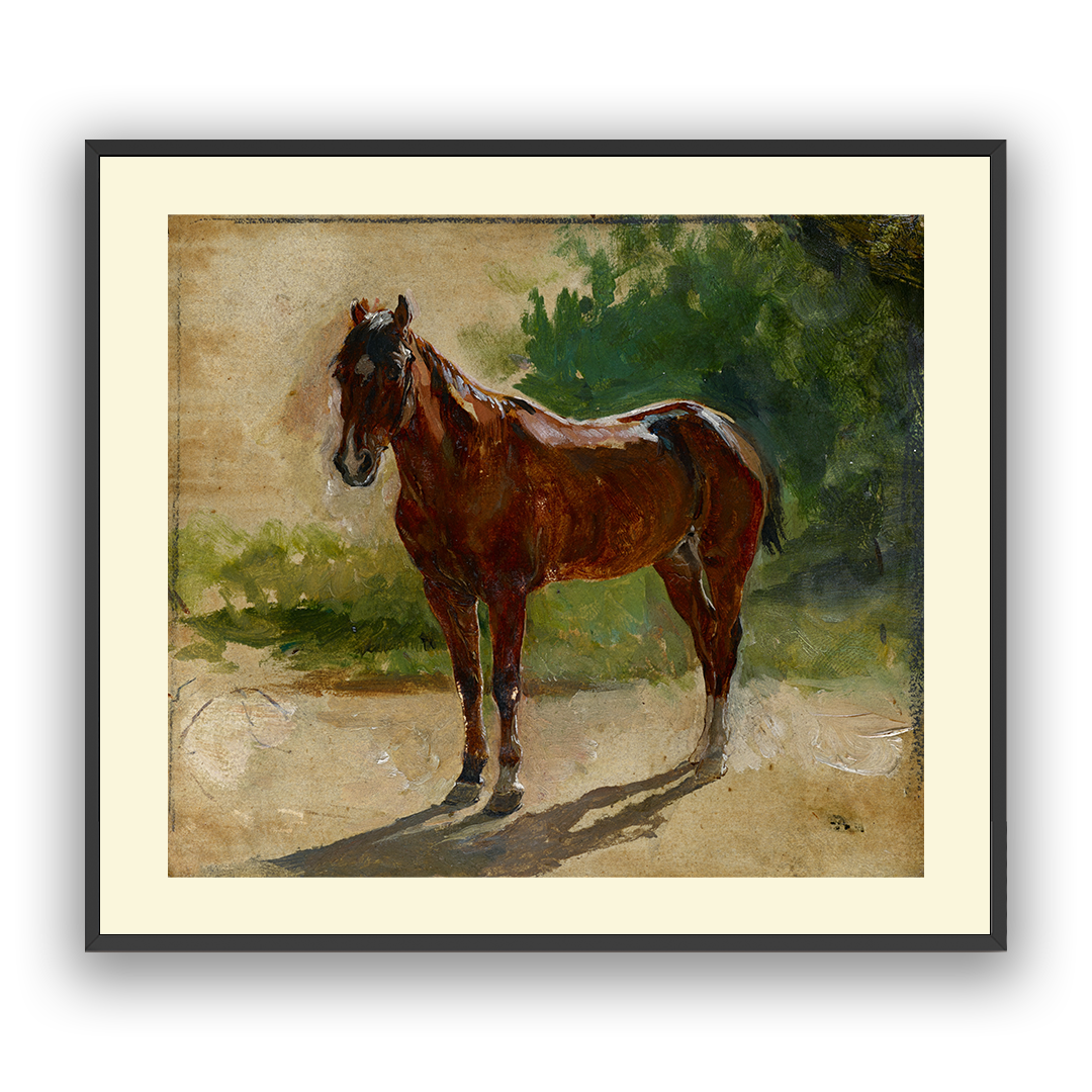 Bay Horse