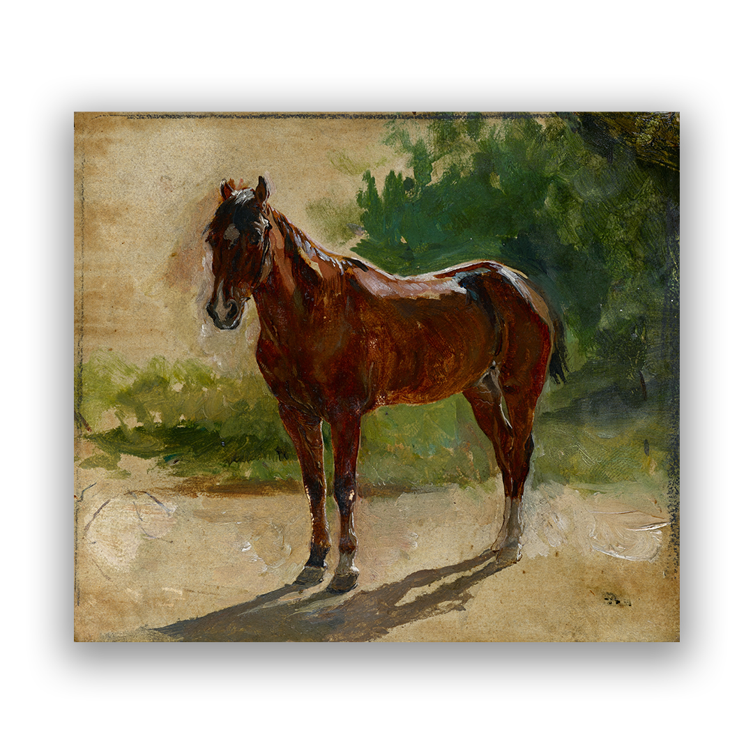 Bay Horse