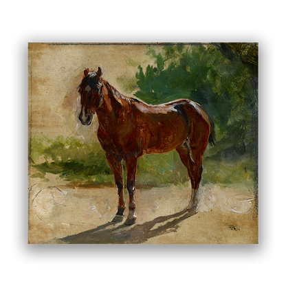 Bay Horse — silver frame fine art print — Art & Olive