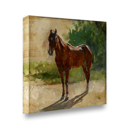 Bay Horse — gold frame fine art print — Art & Olive
