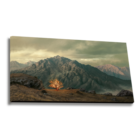 Holy Ground | Canvas