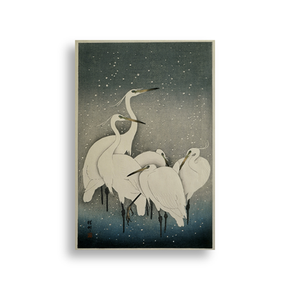 Starry Flight — white frame fine art print — Art & Olive