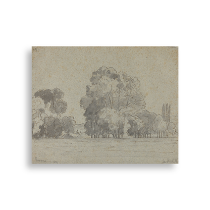Stillness — white frame fine art print — Art & Olive