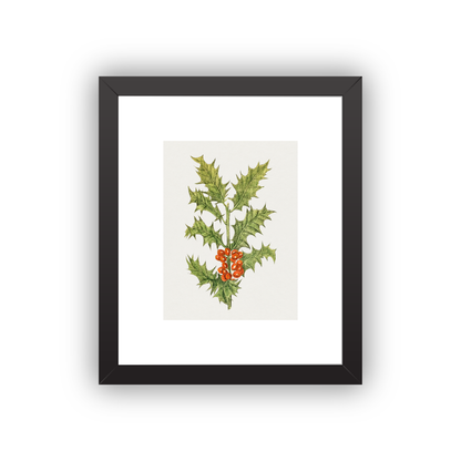 Holly — espresso frame fine art print — Art & Olive