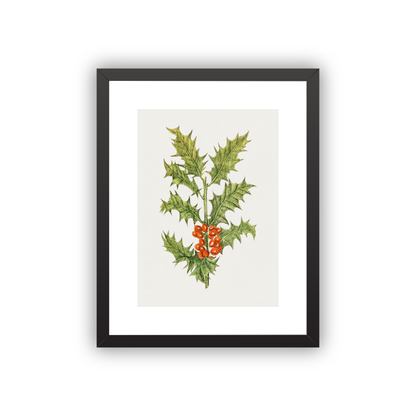 Holly — framed option fine art print — Art & Olive