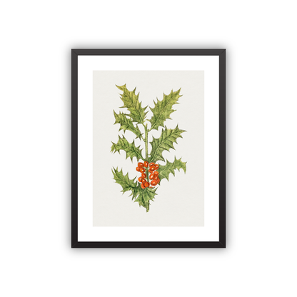 Holly — framed option fine art print — Art & Olive