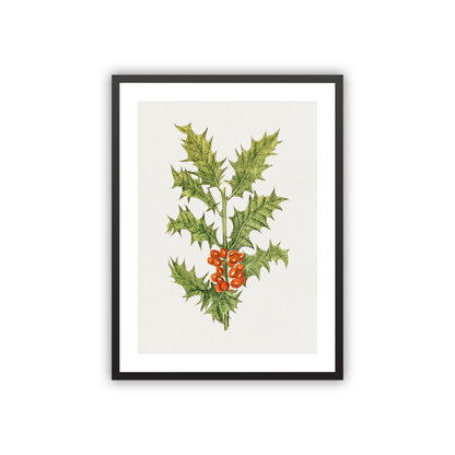 Holly — framed option fine art print — Art & Olive