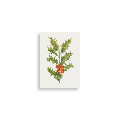 Holly — silver frame fine art print — Art & Olive