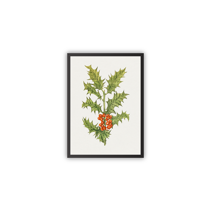 Holly — white frame fine art print — Art & Olive