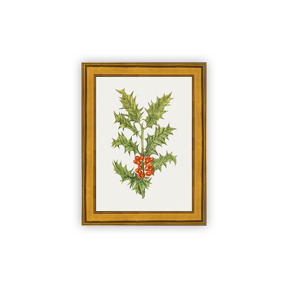 Holly — gold frame fine art print — Art & Olive