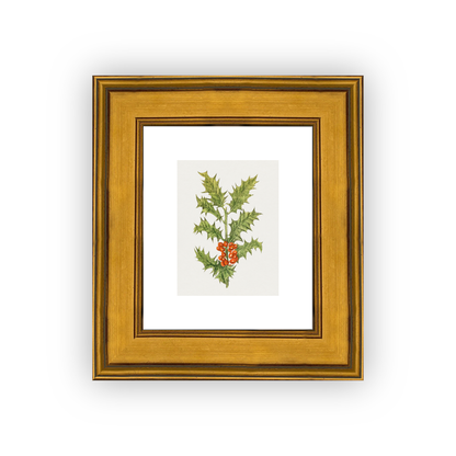Holly — oak frame fine art print — Art & Olive