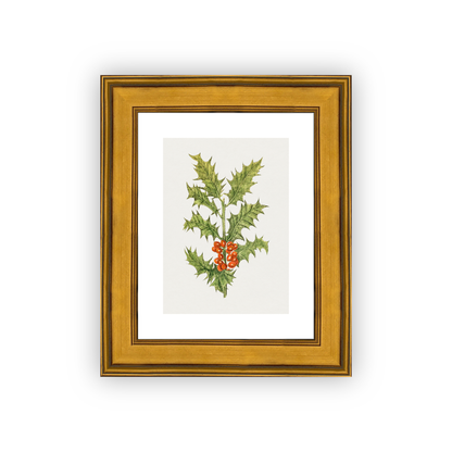 Holly — Christian fine art print by Art & Olive