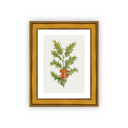 Holly — framed option fine art print — Art & Olive