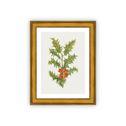 Holly — framed option fine art print — Art & Olive