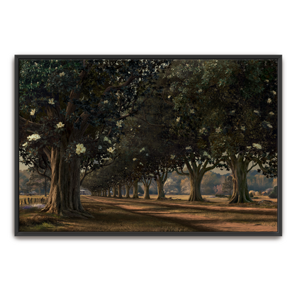 Magnolia Avenue, Circa 1930 — natural wood frame fine art print — Art & Olive