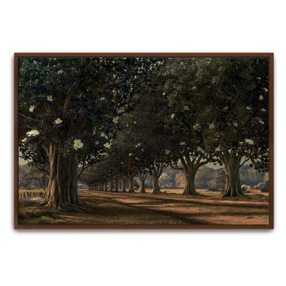 Magnolia Avenue, Circa 1930 — espresso frame fine art print — Art & Olive