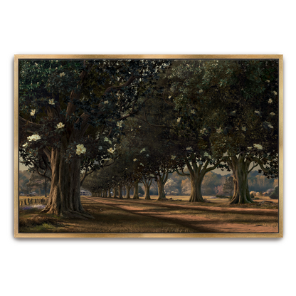 Magnolia Avenue, Circa 1930 — oak frame fine art print — Art & Olive