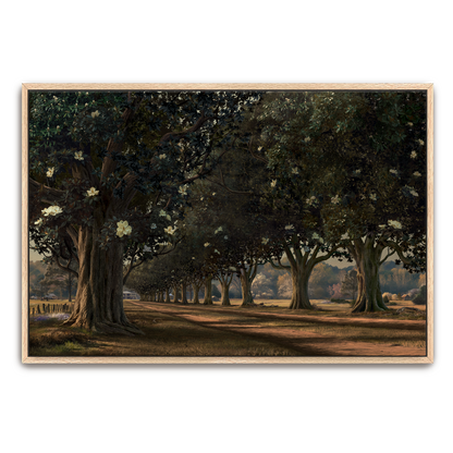 Magnolia Avenue, Circa 1930 — framed option fine art print — Art & Olive