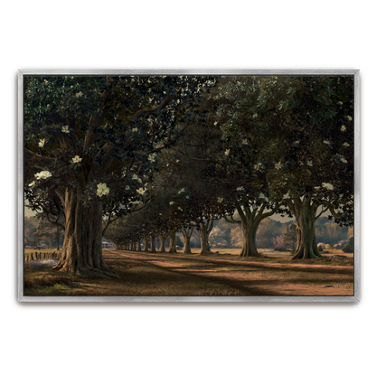 Magnolia Avenue, Circa 1930 — framed option fine art print — Art & Olive