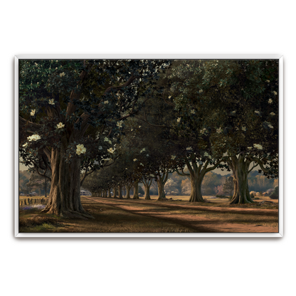 Magnolia Avenue, Circa 1930 — framed option fine art print — Art & Olive