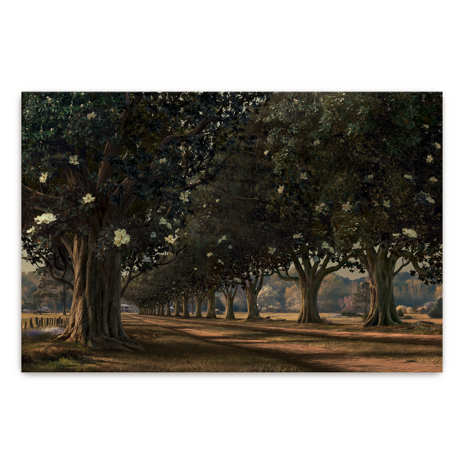 Magnolia Avenue, Circa 1930 | Fine Art Print