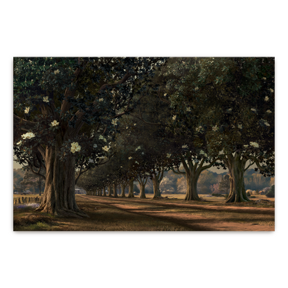 Magnolia Avenue, Circa 1930 — Christian fine art print by Art & Olive