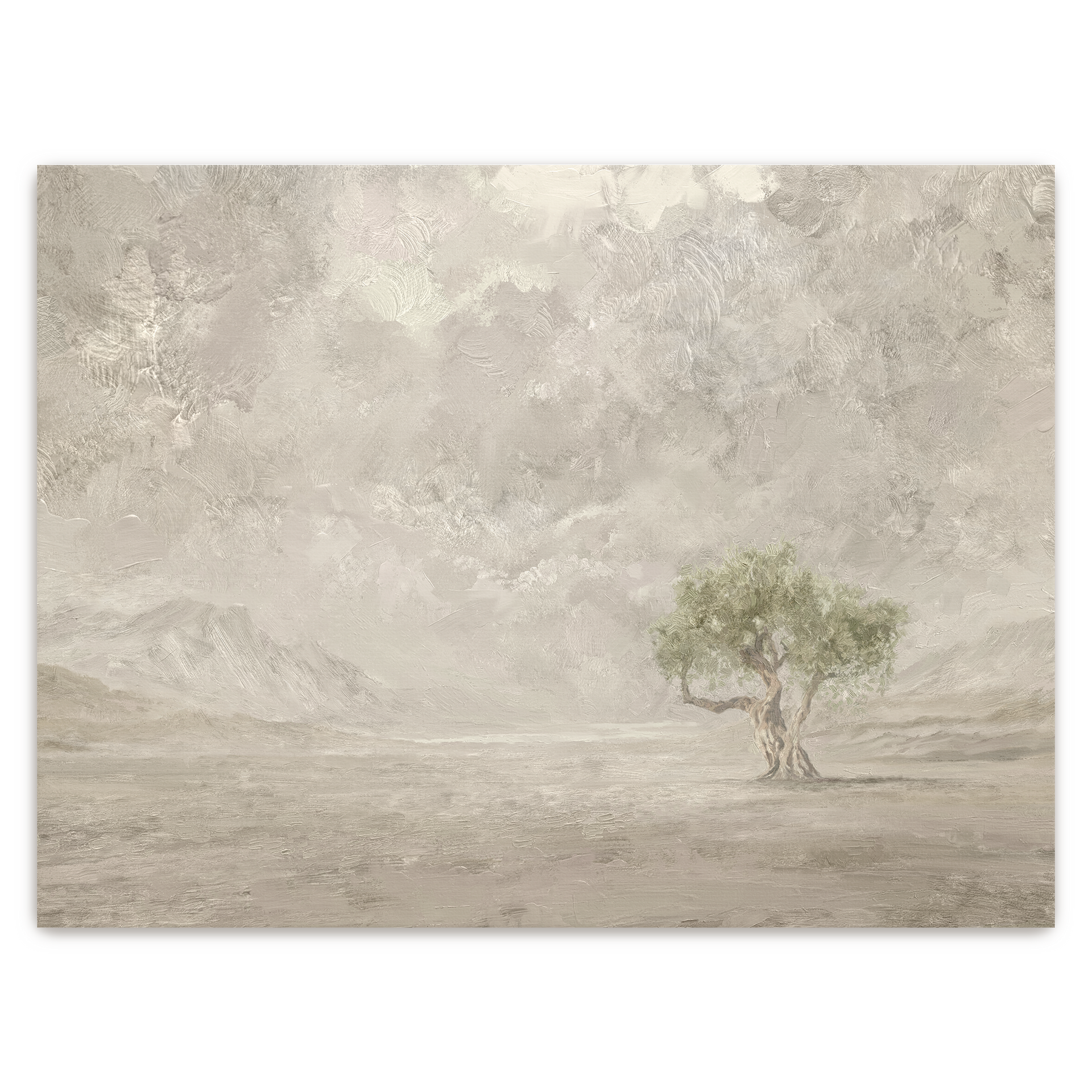 Olive Tree | Fine Art Print 40x60