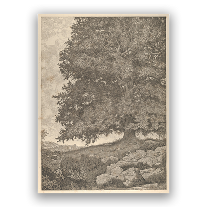 Permanence — silver frame fine art print — Art & Olive
