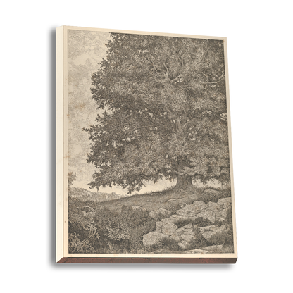 Permanence — white frame fine art print — Art & Olive