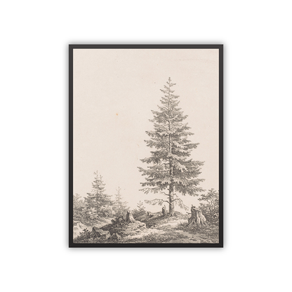 Pine — Christian fine art print by Art & Olive