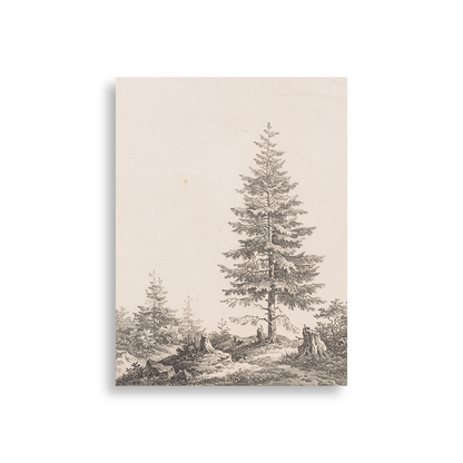 Pine — white frame fine art print — Art & Olive