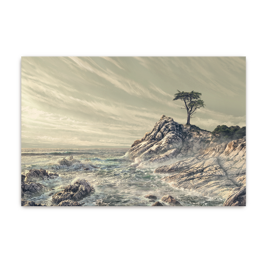 The Quiet Cypress | Fine Art Print