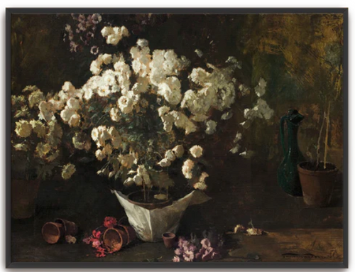 Still Life