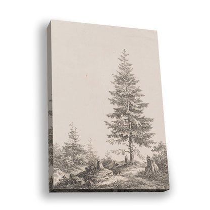 Pine — silver frame fine art print — Art & Olive