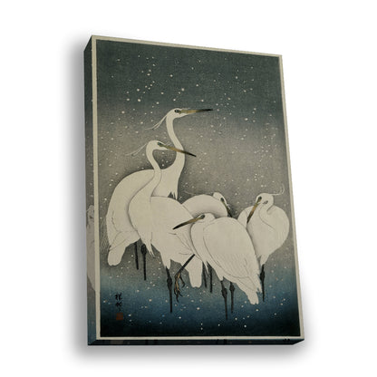 Starry Flight — silver frame fine art print — Art & Olive
