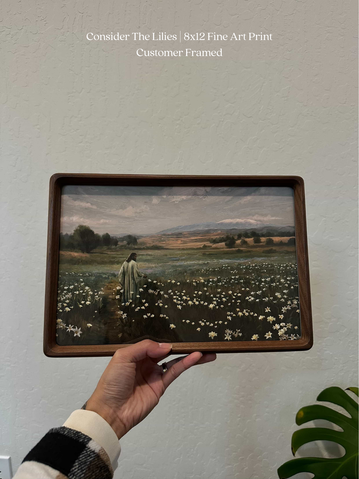 Consider The Lilies — silver frame fine art print — Art & Olive